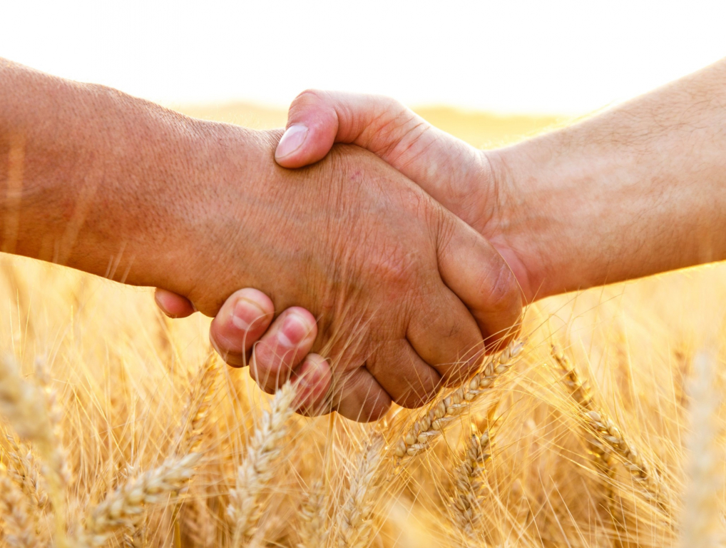 Господдержка фермерских сельскохозяйственных кооперативов – приоритетное направление