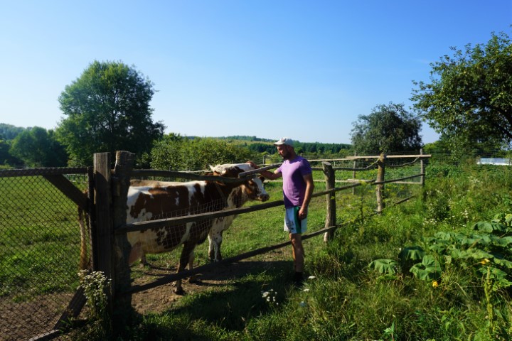 Молочно-мясная ферма в Октябрьском районе