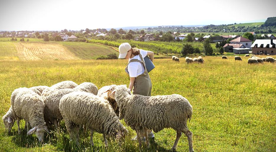 Важные изменения в правилах предоставления гостиничных услуг для фермеров