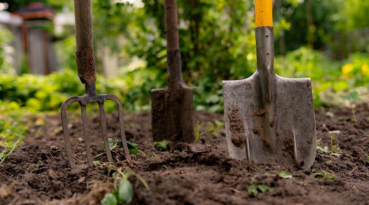Новые правила для садоводов и огородников