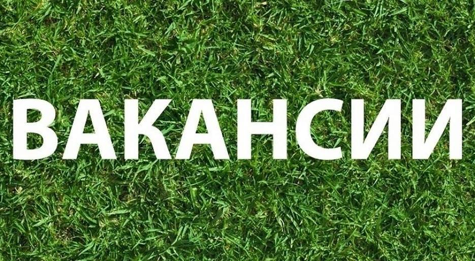 Вакансии АНО "Центр компетенций в АПК Курской области"