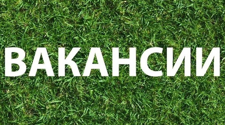 Вакансии АНО "Центр компетенций в АПК Курской области"